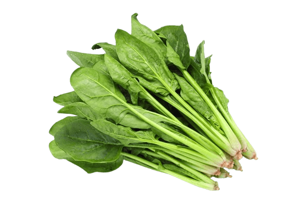 Baby Spinach